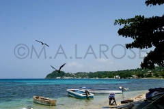 LaRose-02_Jamaica-Pics.-2-065